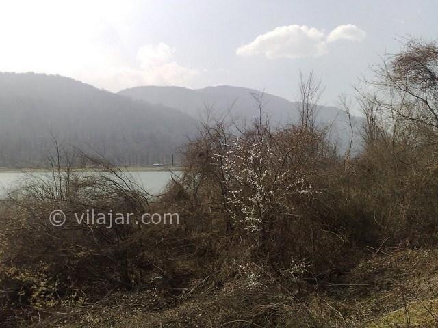 عکس شماره 5 - دریاچه آویدر نوشهر