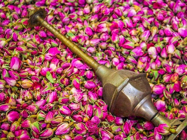 عکس شماره 5 - مراسم گلاب گیری در کاشان