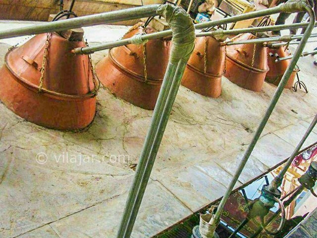 عکس شماره 9 - مراسم گلاب گیری در کاشان