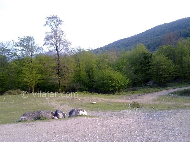 عکس شماره 7 - دریاچه آویدر نوشهر