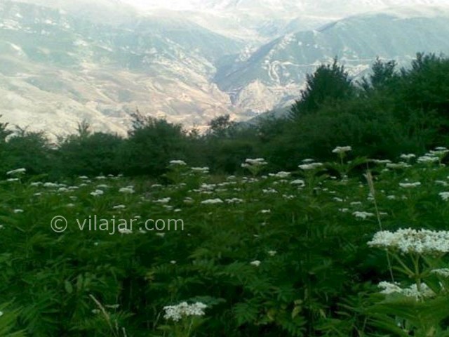 عکس شماره 3 - روستای اوریم سوادکوه