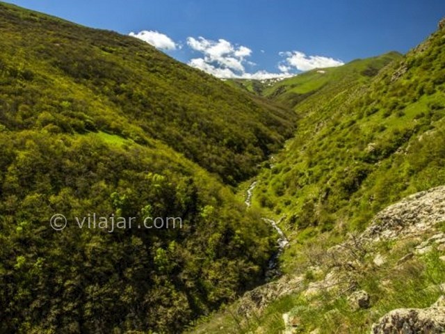 عکس شماره 5 - جنگل مشه اردبیل