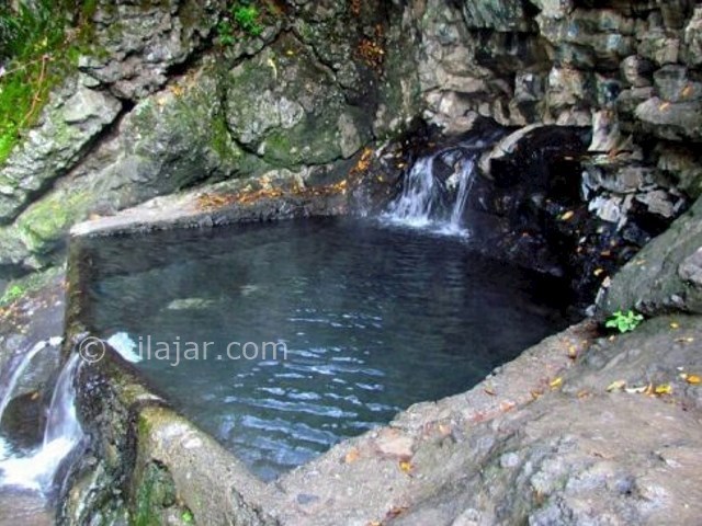 عکس شماره 6 - جنگل مشه اردبیل