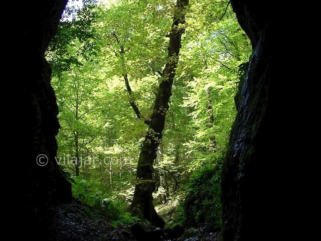 عکس شماره 3 - غار آویشو شاندرمن گیلان