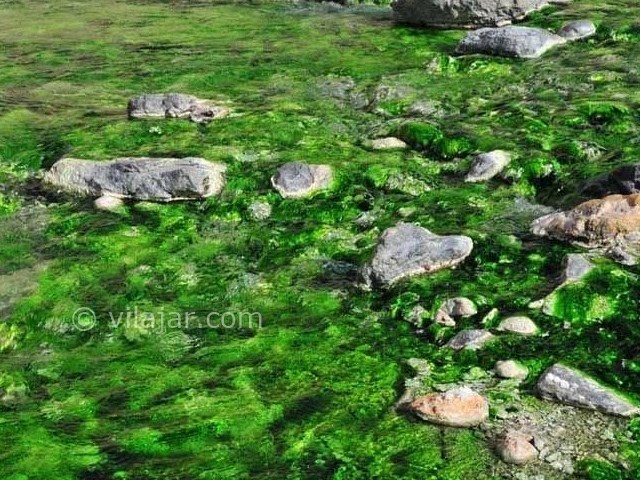 عکس شماره 4 - چشمه آبگرم سیاهکش هرمزگان