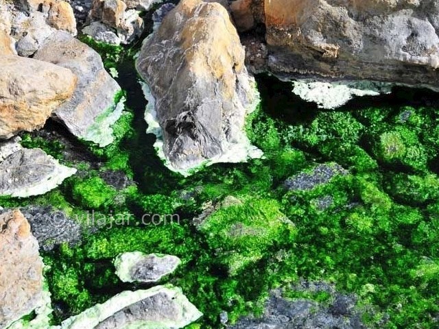 عکس شماره 5 - چشمه آبگرم سیاهکش هرمزگان