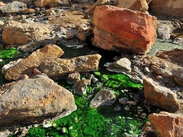 عکس شماره 10 - چشمه آبگرم سیاهکش هرمزگان