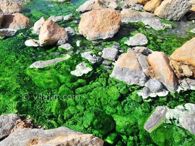 عکس شماره 11 - چشمه آبگرم سیاهکش هرمزگان