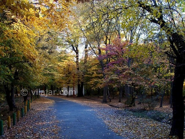 عکس شماره 3 - پارک جنگلی قرق گرگان