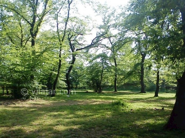 عکس شماره 5 - پارک جنگلی قرق گرگان