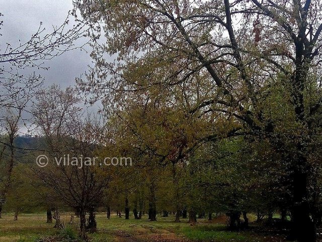 عکس شماره 6 - پارک جنگلی قرق گرگان