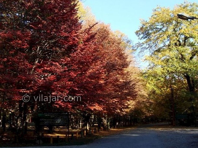 عکس شماره 8 - پارک جنگلی قرق گرگان