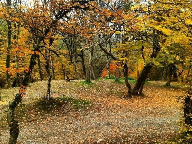 عکس شماره 12 - پارک جنگلی قرق گرگان