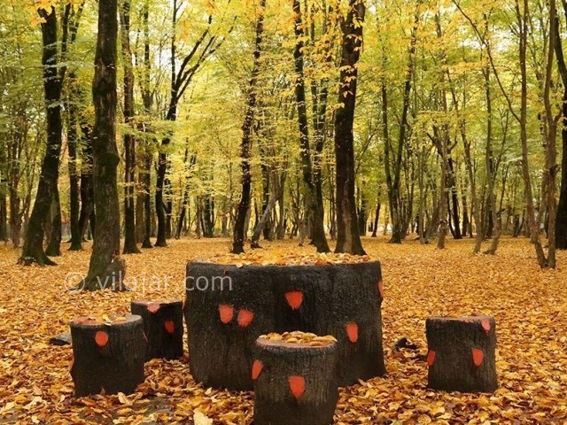 عکس شماره 15 - پارک جنگلی قرق گرگان