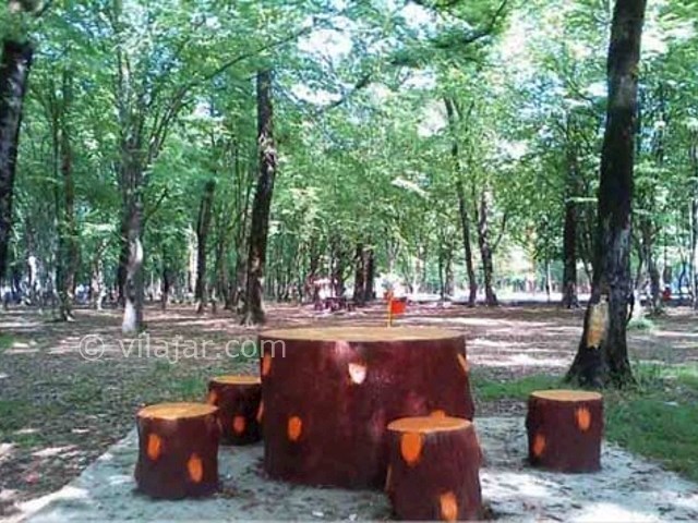 عکس شماره 16 - پارک جنگلی قرق گرگان