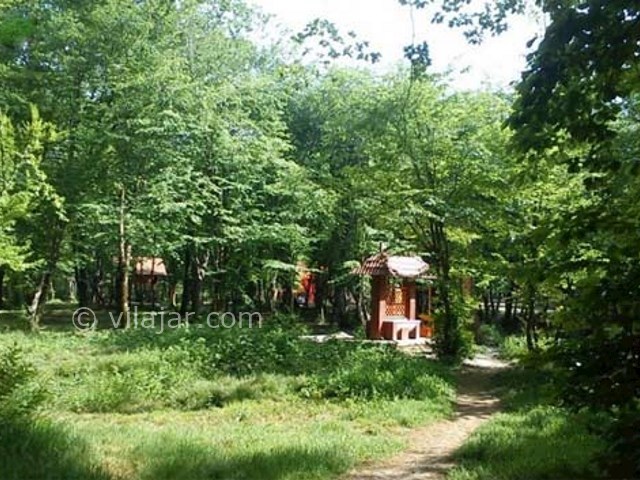 عکس شماره 19 - پارک جنگلی قرق گرگان