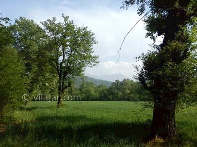 عکس شماره 20 - پارک جنگلی قرق گرگان