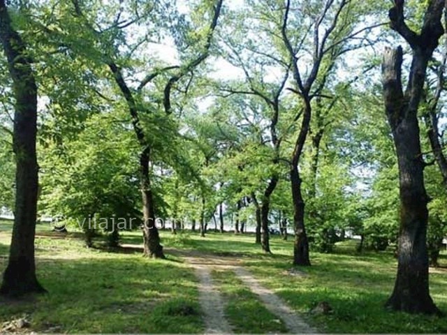 عکس شماره 23 - پارک جنگلی قرق گرگان