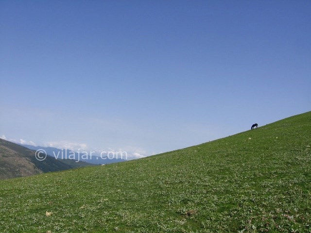 عکس شماره 3 - جواهر دشت کجاست؟