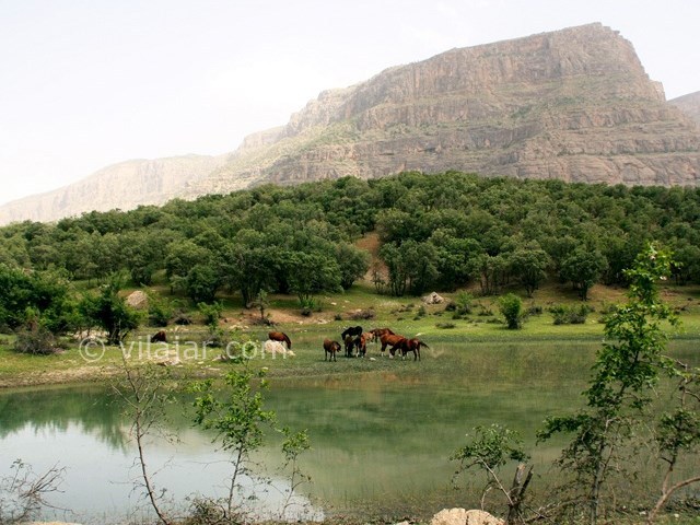 عکس شماره 4 - تالاب ازگن دورود