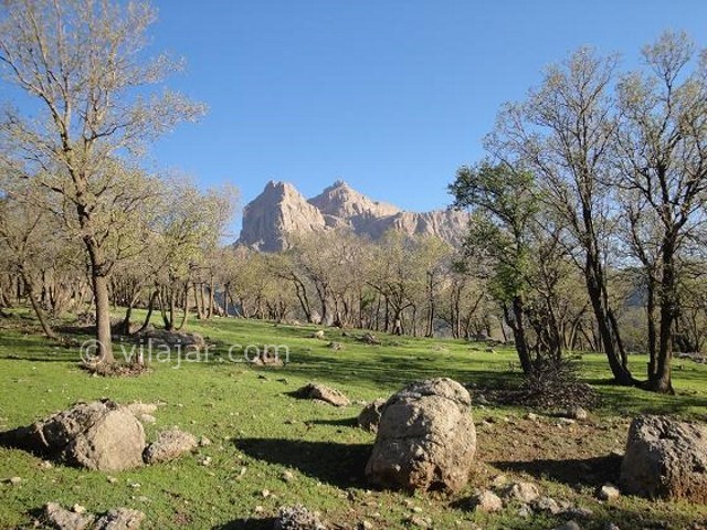 عکس شماره 5 - تالاب ازگن دورود