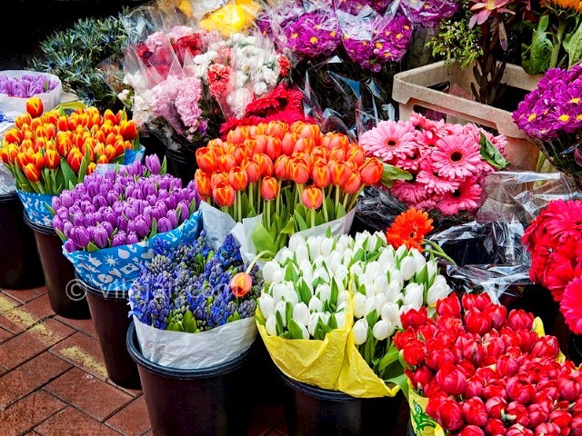 عکس اصلی شماره 1 - بازارهای گل در تهران