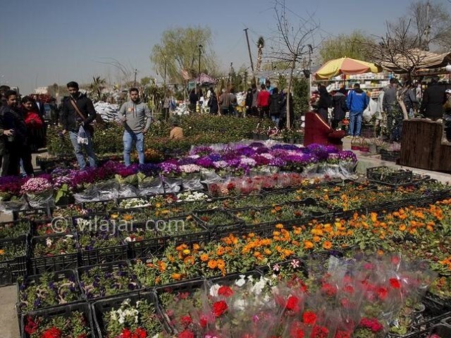 عکس شماره 3 - بازارهای گل در تهران