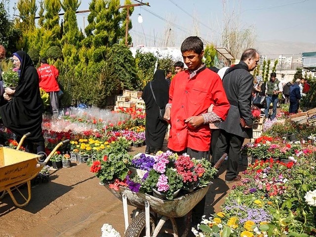 عکس شماره 4 - بازارهای گل در تهران