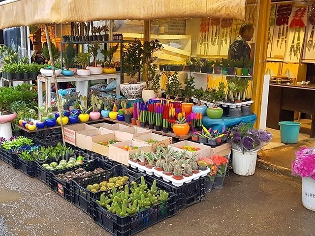 عکس شماره 7 - بازارهای گل در تهران