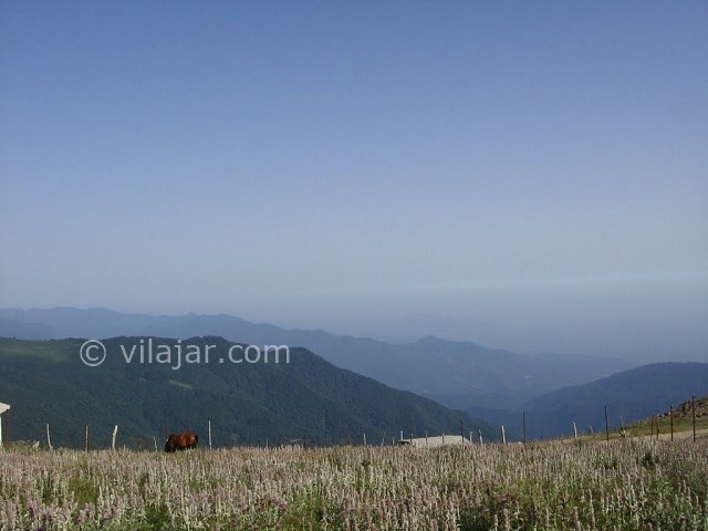 عکس شماره 8 - جواهر دشت کجاست؟