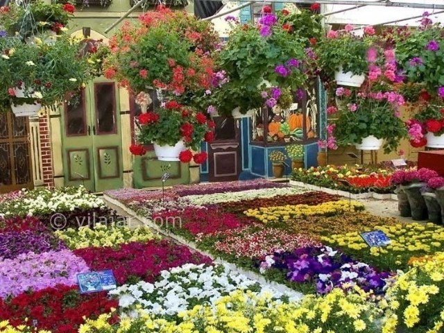 عکس شماره 13 - بازارهای گل در تهران