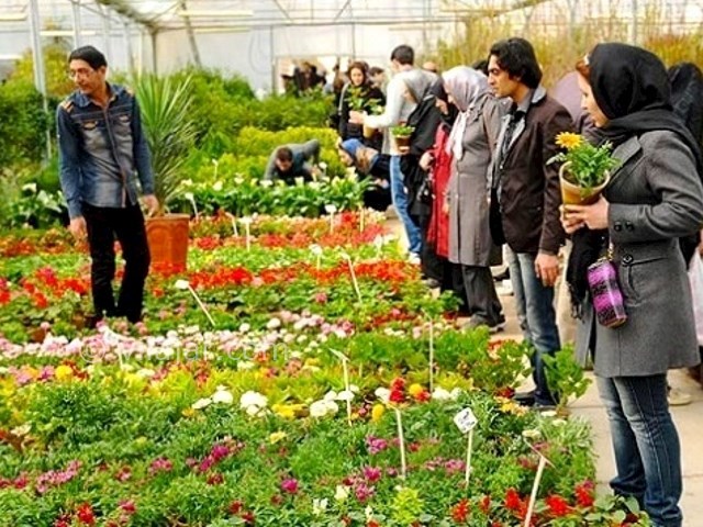 عکس شماره 14 - بازارهای گل در تهران