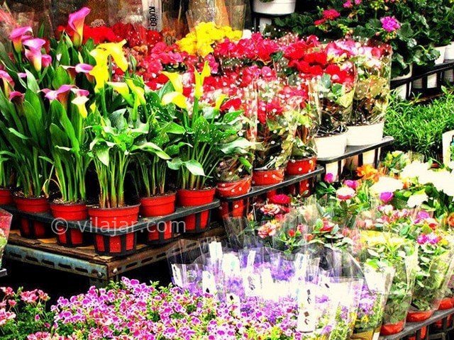 عکس شماره 15 - بازارهای گل در تهران
