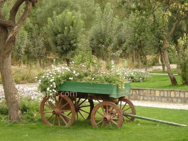 عکس شماره 10 - پارک سیفیه همدان