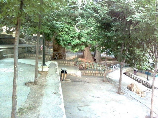 عکس شماره 7 - گردشگاه سیاسرد بروجن