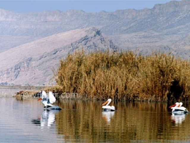 عکس شماره 5 - تالاب چکر ایلام