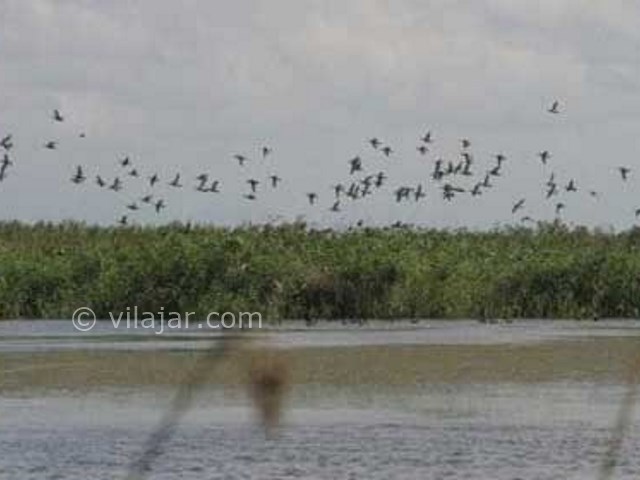 عکس شماره 6 - تالاب چکر ایلام