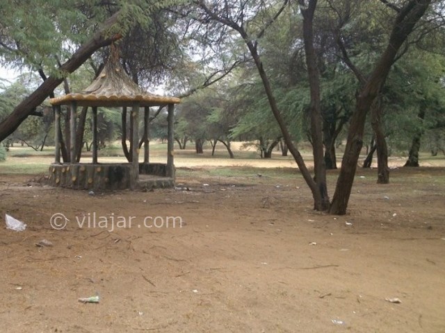 عکس شماره 4 - پارک جنگلی چاهکوتاه بوشهر