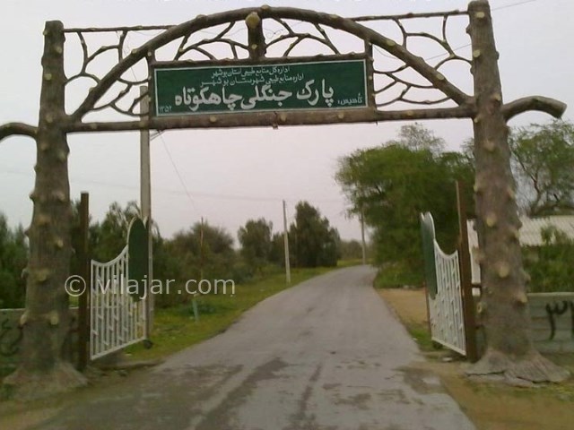 عکس شماره 5 - پارک جنگلی چاهکوتاه بوشهر