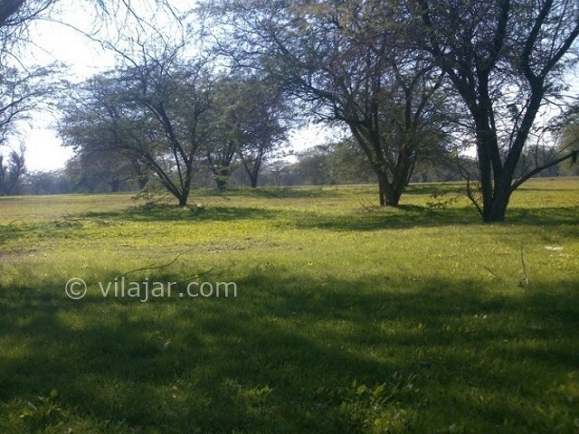 عکس شماره 6 - پارک جنگلی چاهکوتاه بوشهر