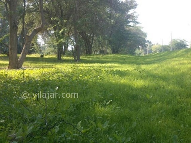 عکس شماره 7 - پارک جنگلی چاهکوتاه بوشهر