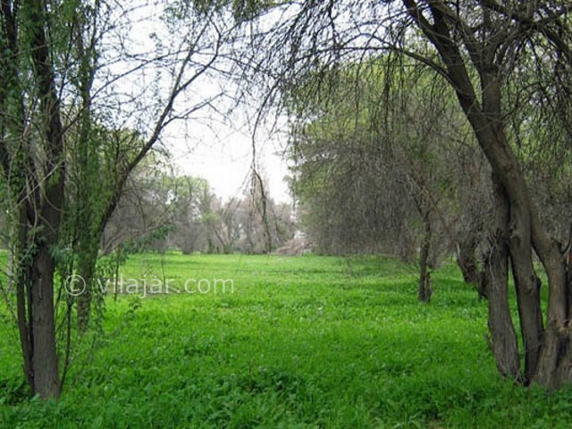 عکس شماره 8 - پارک جنگلی چاهکوتاه بوشهر