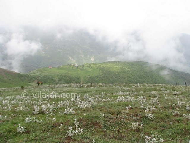 عکس شماره 20 - جواهر دشت کجاست؟