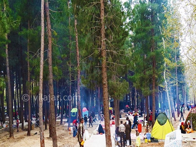 عکس شماره 10 - پارک آبشار شاهرود