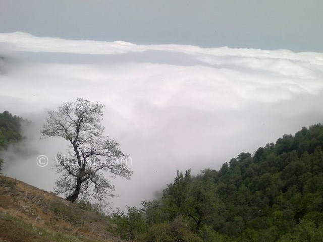 عکس شماره 22 - جواهر دشت کجاست؟