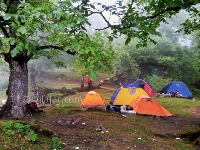 عکس شماره 4 - روستا و جنگل لوندویل