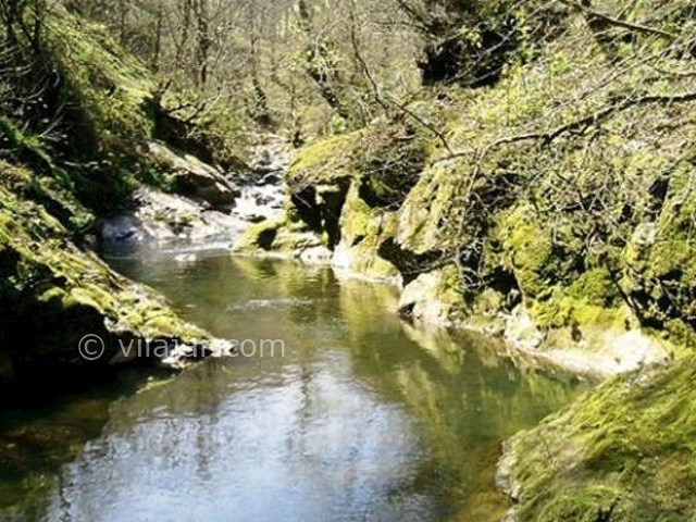 عکس شماره 6 - روستا و جنگل لوندویل