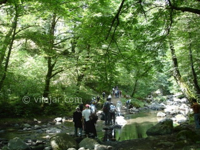 عکس شماره 7 - روستا و جنگل لوندویل