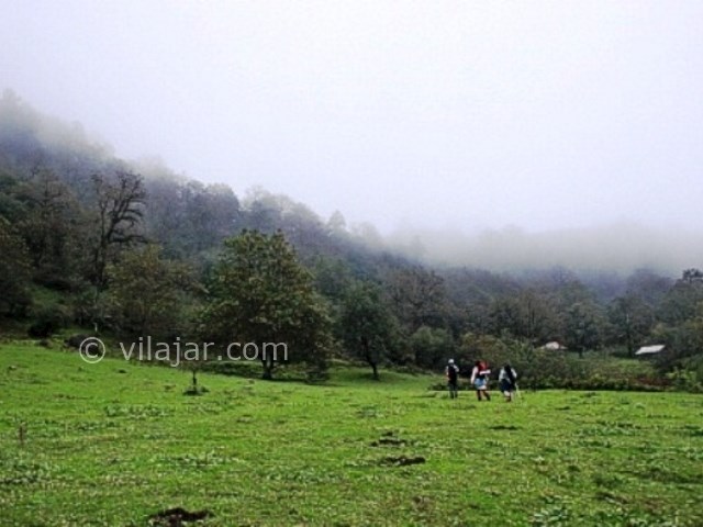 عکس شماره 8 - روستا و جنگل لوندویل