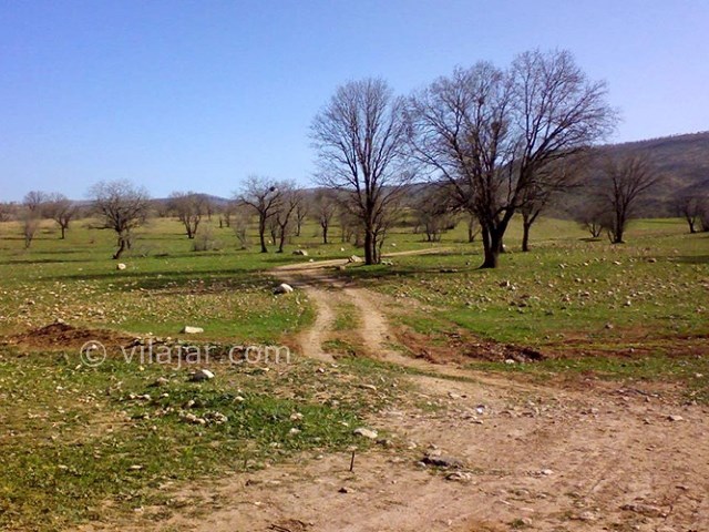 عکس شماره 3 - پارک جنگلی شورآب خرم آباد